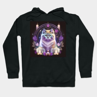 Magical British Shorthair Hoodie